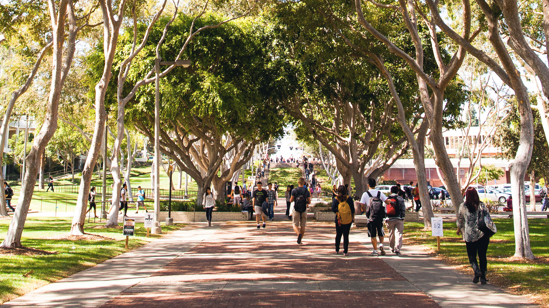 Students walk on the  campus